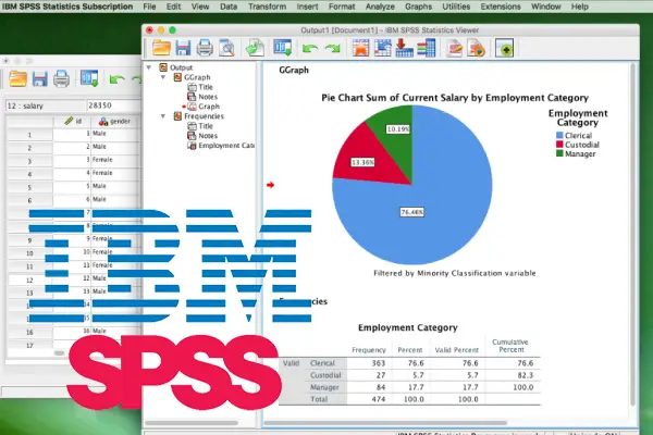 spss-statistics-for-pc.webp